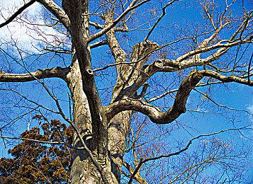 《宣誓》所有任务都独一无二 没有一个是复制粘贴的